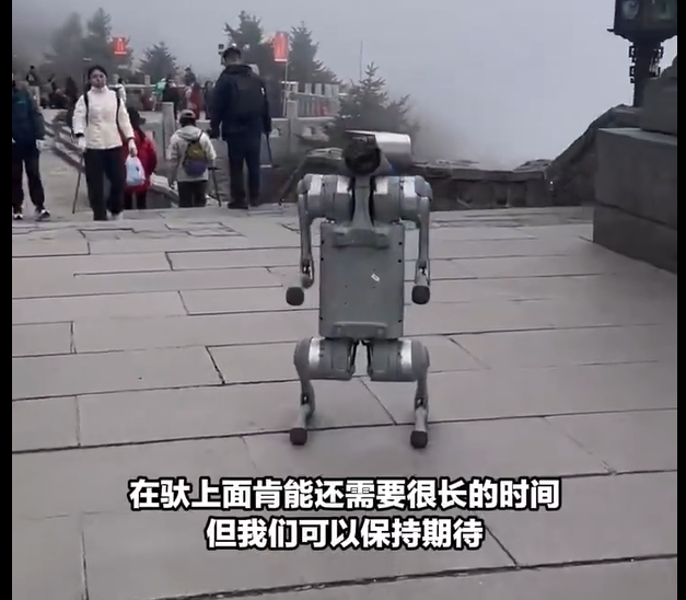 泰山“機(jī)器狗”火到海外？華春瑩點(diǎn)贊