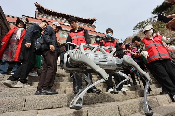 泰山“機(jī)器狗”火到海外？華春瑩點(diǎn)贊