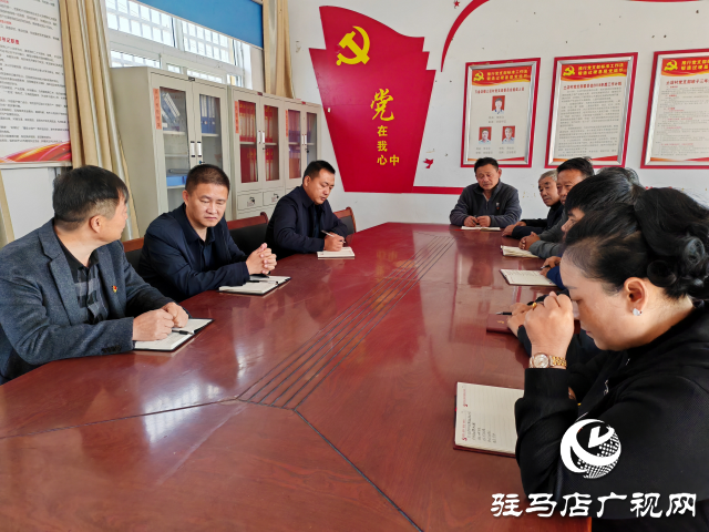 平輿縣萬金店鎮(zhèn)土店村:黨建引領創(chuàng)五星 和美土店展新顏