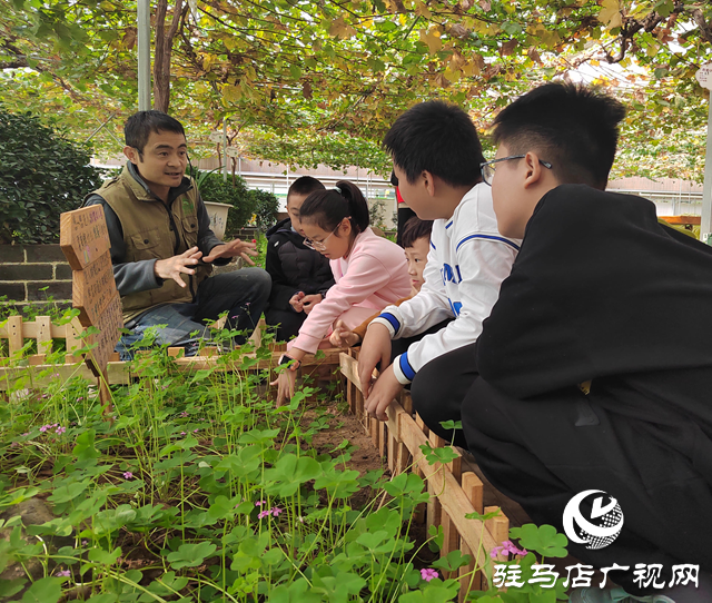 開展研學(xué)實(shí)踐 探索自然奧秘