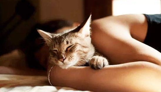 立冬養(yǎng)生 從“睡懶覺”開始