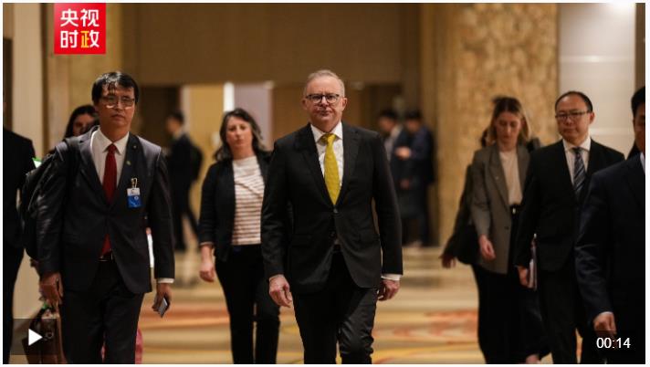 獨家視頻丨習近平會見澳大利亞總理阿爾巴尼斯