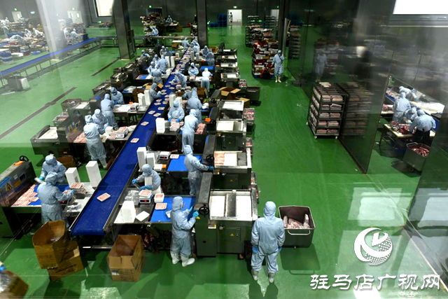 正陽縣：打好“雙招雙引”組合拳 激活經濟高質量發(fā)展新引擎