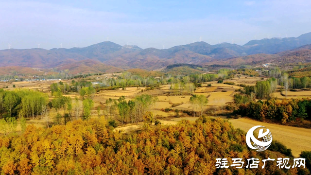 泌陽(yáng)縣曾溝：鄉(xiāng)野的絢麗畫(huà)卷