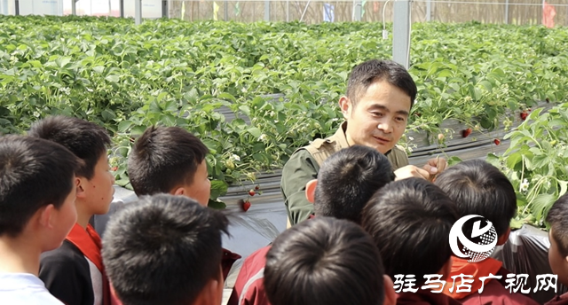 駐馬店：勞動教育搬進(jìn)田園 在實踐中“發(fā)芽”