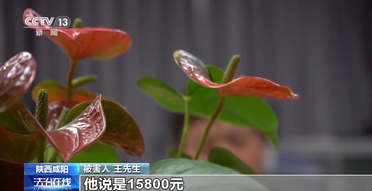 網(wǎng)約車運現(xiàn)金、快遞黃金？警惕這些詐騙新手法