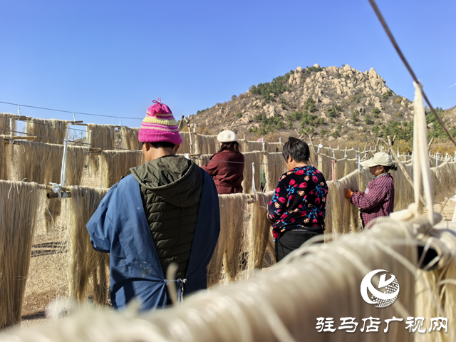駐馬店市驛城區(qū)：紅薯產(chǎn)業(yè)鼓起村民“錢(qián)袋子”