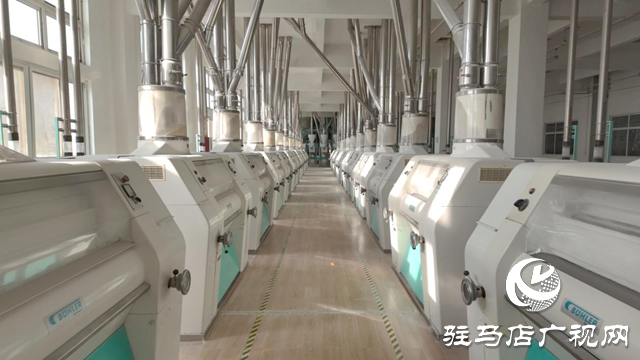 一加一面粉：智能制造引領企業(yè)創(chuàng)新發(fā)展