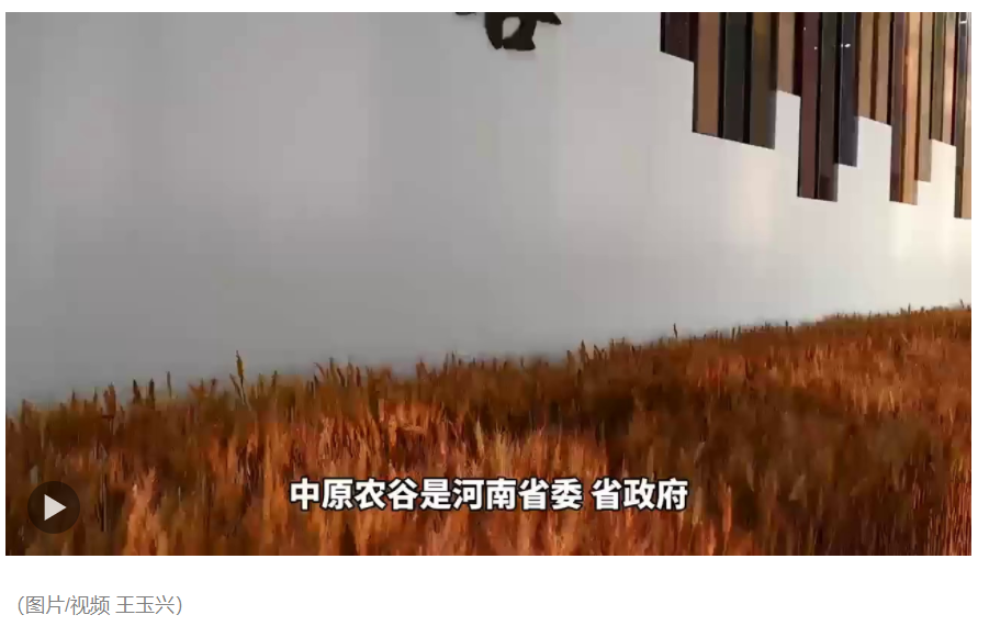 高質(zhì)量發(fā)展調(diào)研行｜河南中原農(nóng)谷：一粒種子，無限生機