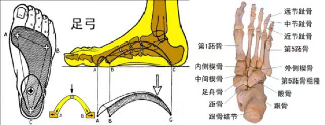 雪地靴又上熱搜！經(jīng)常穿真的很“傷腳”……醫(yī)生緊急提醒