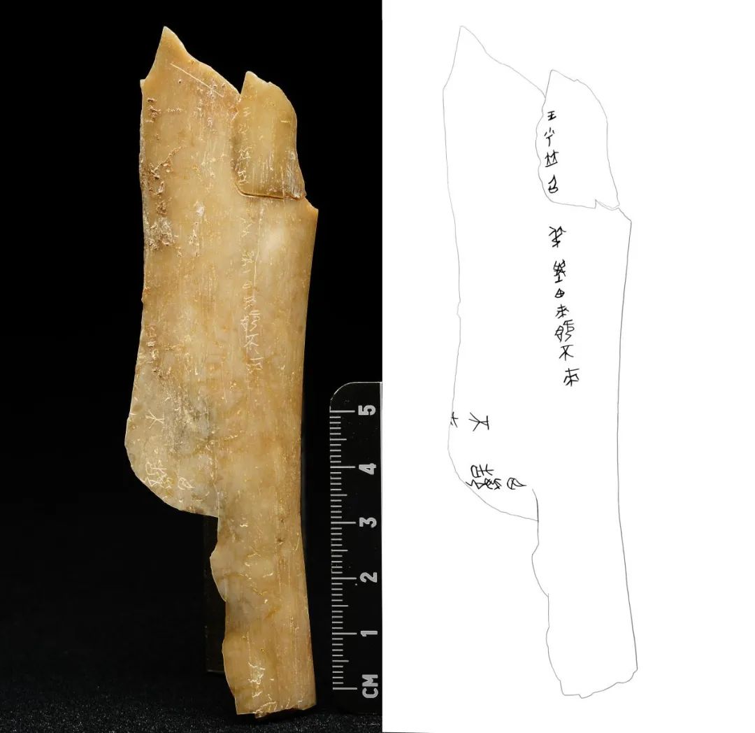重大發(fā)現(xiàn)！首次出土有“秦人”字樣甲骨