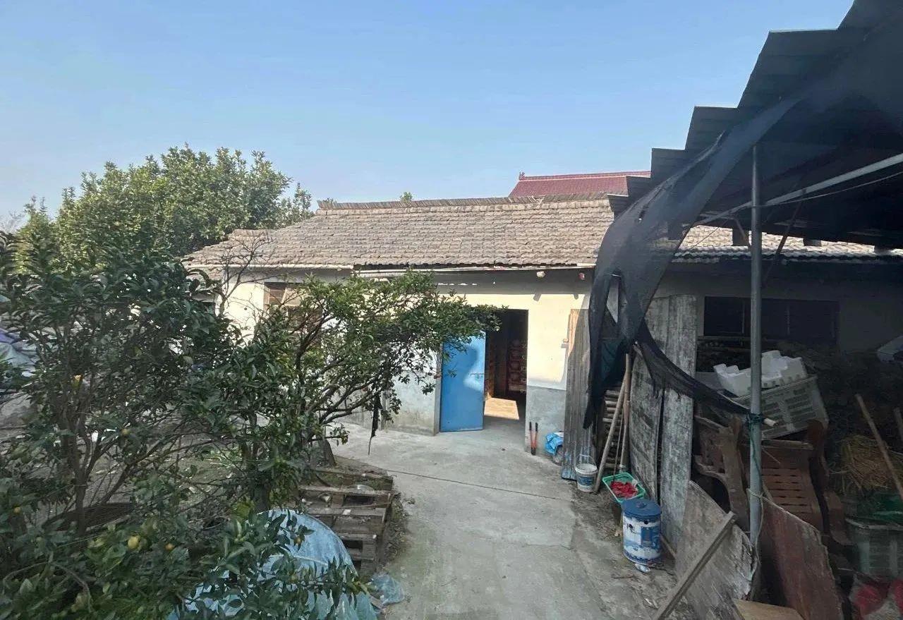 朋友圈售賣煙花爆竹？小心違法！