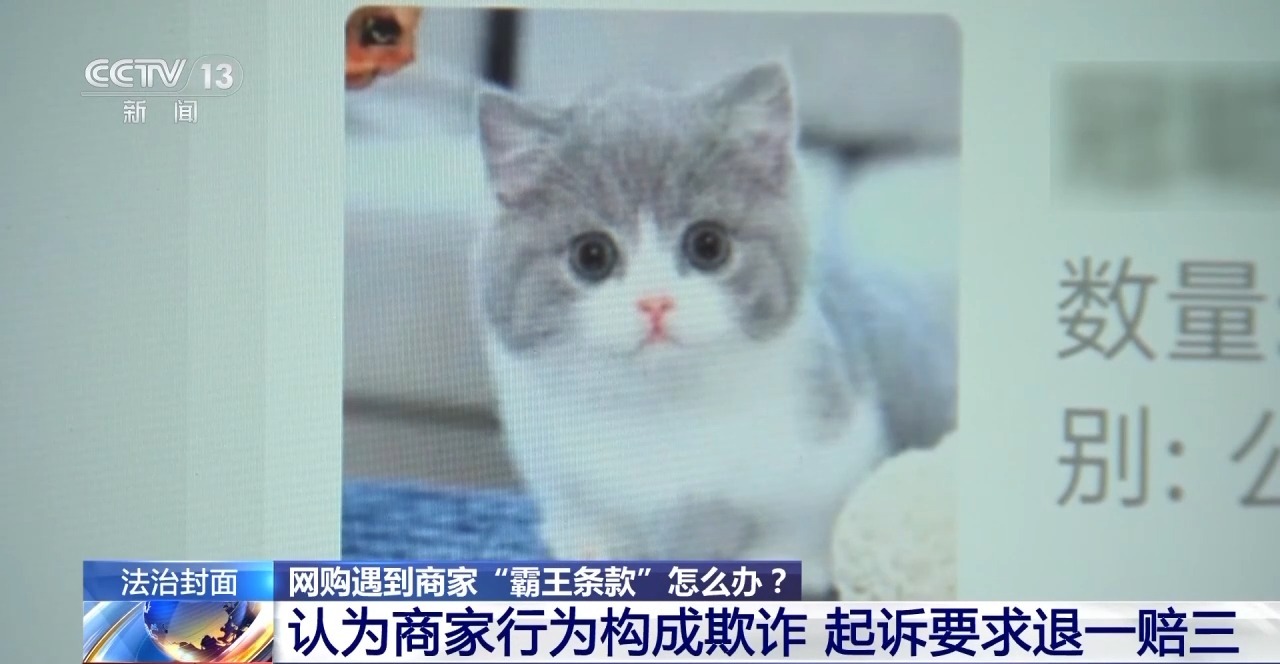 下單不退換、簽收即認可 網(wǎng)購遇“霸王條款”怎么辦？