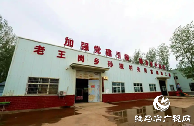 平輿縣：“三園”同構產業(yè)興 鄉(xiāng)村振興有“底色”