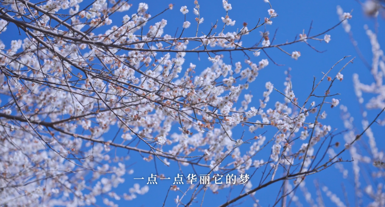 立春：愿人隨春好，春與人宜