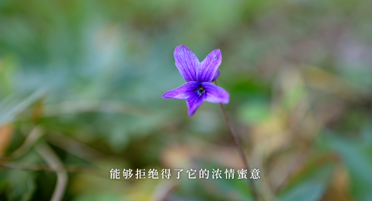 立春：愿人隨春好，春與人宜