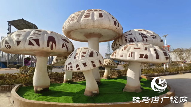 公交直達！泌陽縣花菇博物館開啟奇妙之旅
