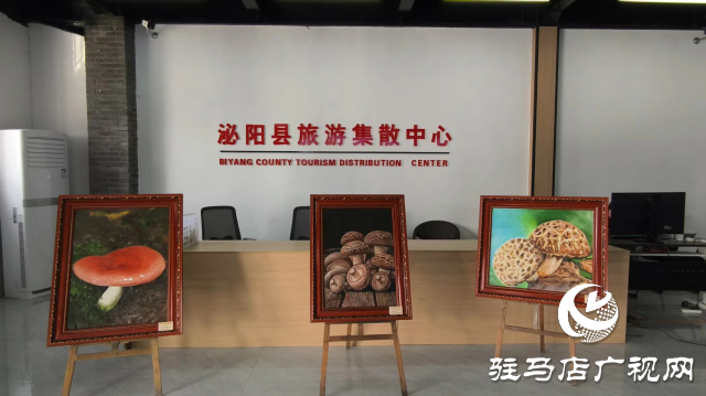 公交直達！泌陽縣花菇博物館開啟奇妙之旅