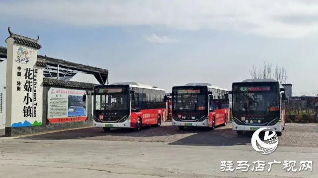 公交直達！泌陽縣花菇博物館開啟奇妙之旅