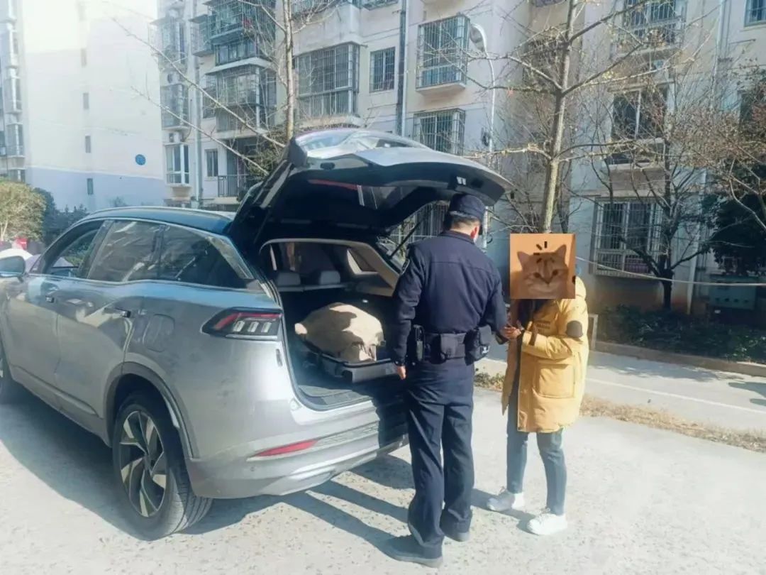“網(wǎng)約車送現(xiàn)金”可修復(fù)數(shù)據(jù)返現(xiàn)？“這群里除了你，都是托！”