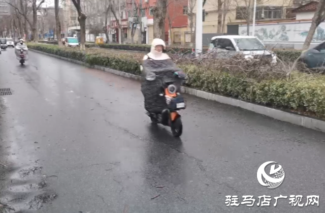 暴風(fēng)雨突襲 刮倒路旁大樹
