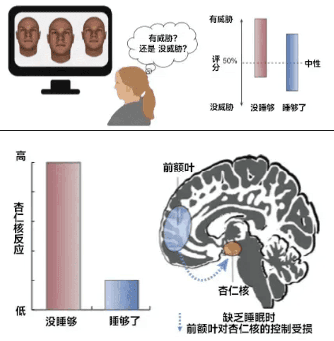 你以為的正?，F(xiàn)象，其實(shí)是睡眠不足！這份“熬夜急救包”請(qǐng)收好