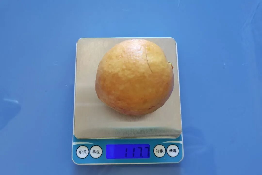 這種水果維C比蘋果高21倍，春天吃正好！