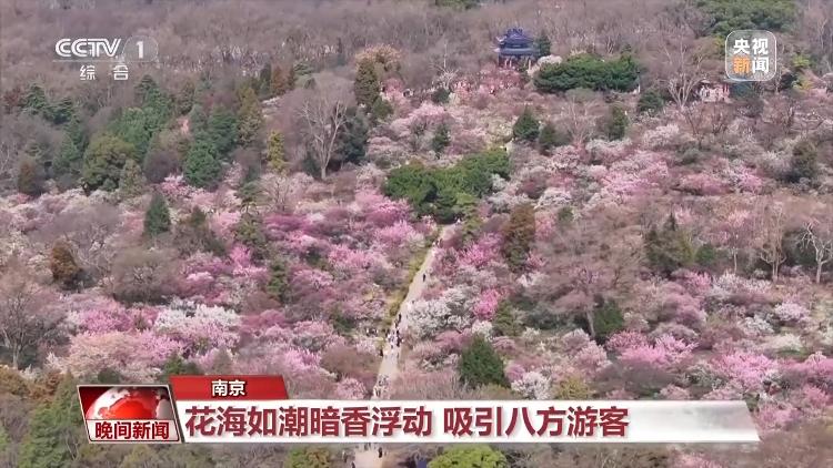 春天就是要看花花花花花，熱門春游目的地藏在這里