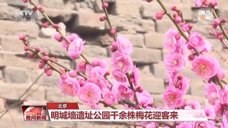 春天就是要看花花花花花，熱門春游目的地藏在這里