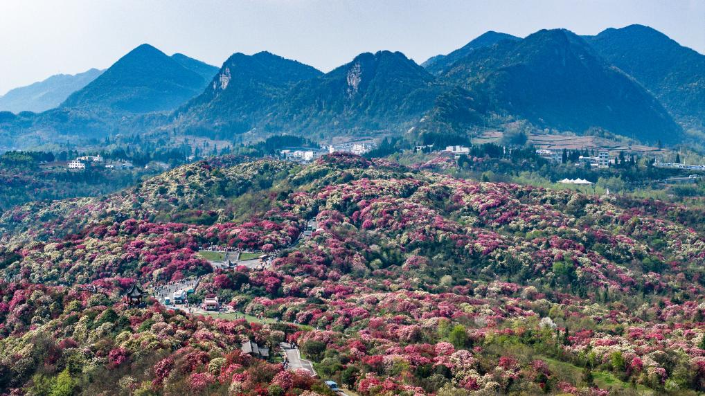 接下來這半個多月，這些地方會很美！