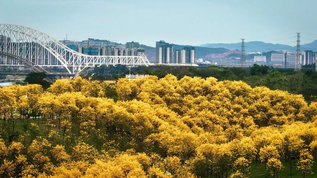 春意漸濃，這條高鐵沿線的寶藏城市“藏不住”了！