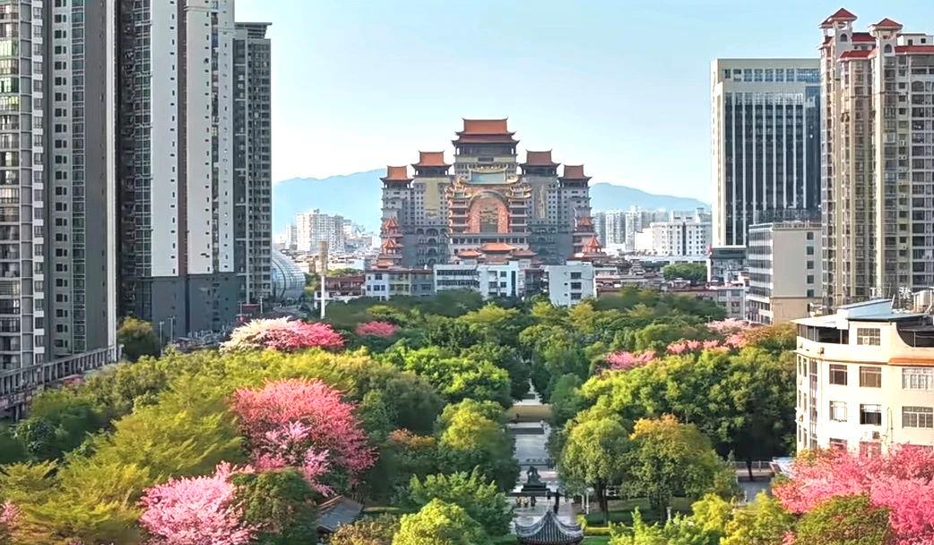 春意漸濃，這條高鐵沿線的寶藏城市“藏不住”了！