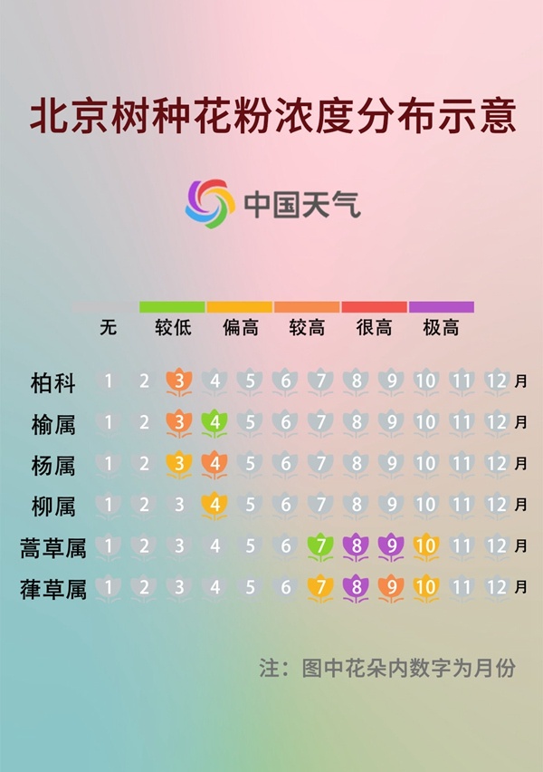 前方噴嚏警告！又到花粉過敏季，四招教你有效預(yù)防