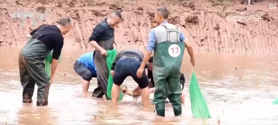 以“花”為媒、以“旅”促農(nóng) 勾勒鄉(xiāng)村振興新圖景