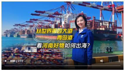 從世界第四大港——青島港看河南好物如何出海？