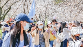 跟團(tuán)旅游回程沒(méi)票，要不要付尾款
