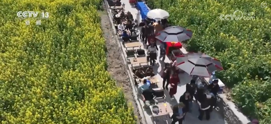 春賞花、夏榨油、秋收糧 “賞花+”扮“靚”經(jīng)濟新增長點