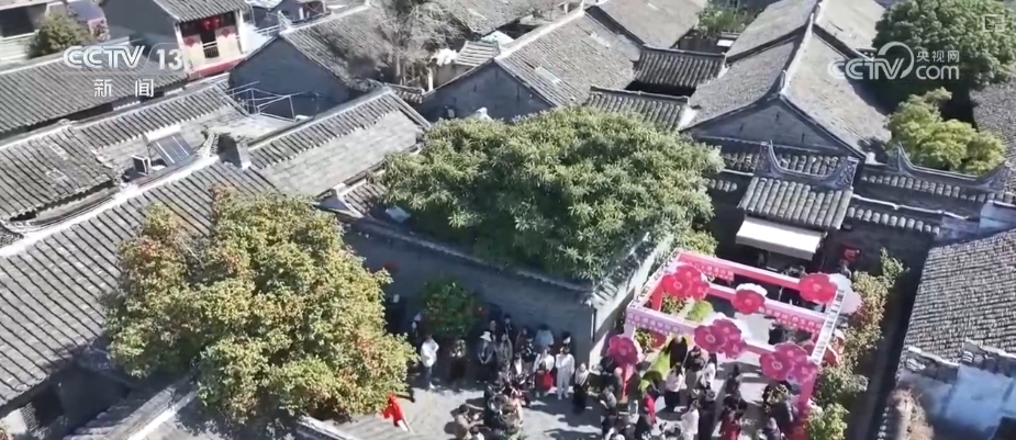 春賞花、夏榨油、秋收糧 “賞花+”扮“靚”經(jīng)濟新增長點