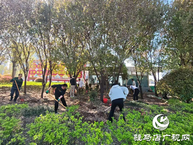 示范區(qū)綜合執(zhí)法大隊積極開展補植增綠工作