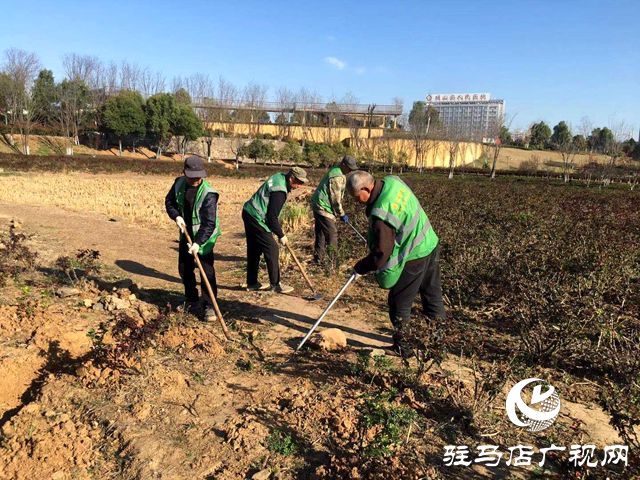 確山縣住建局：春季綠化養(yǎng)護忙，不負(fù)春景好時光