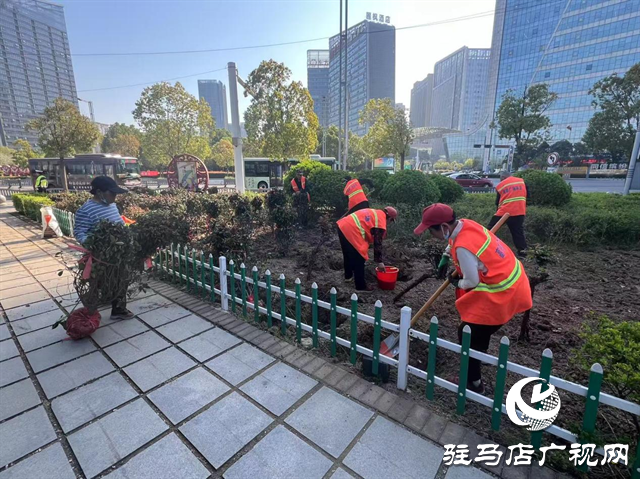 示范區(qū)綜合執(zhí)法大隊積極開展補植增綠工作