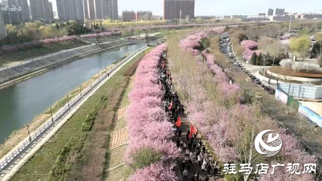 西平縣舉辦2025年“移風(fēng)易俗樹新風(fēng) 全民健身享健康”萬步有約全民健身健步走活動(dòng)