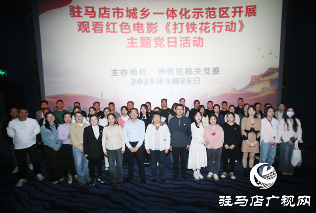  銘記歷史 傳承愛國情 ——示范區(qū)開展觀看紅色電影《打鐵花行動》主題黨日活動
