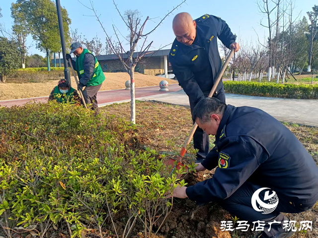 確山縣住建局：春季綠化養(yǎng)護忙，不負(fù)春景好時光