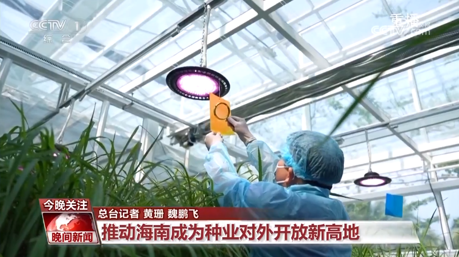 黑紫色玉米、棕色秋葵……你見過的、沒見過的瓜果蔬菜這都有！