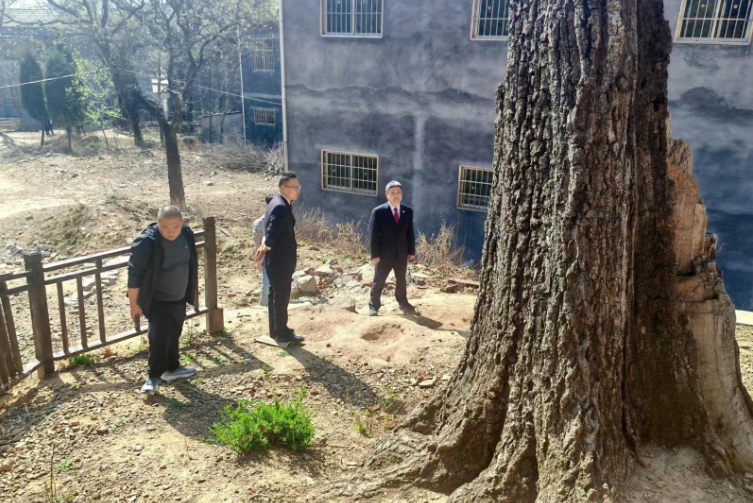 “驛遂”聯(lián)動 檢護青山  共筑防火“長城”