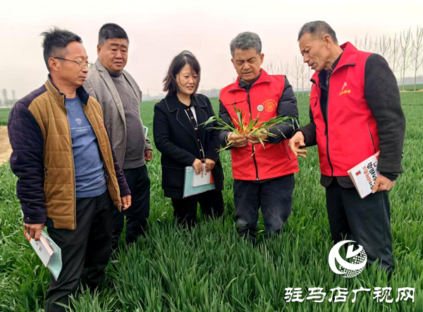 河南省首席科普專家聯(lián)手赴基層助春耕