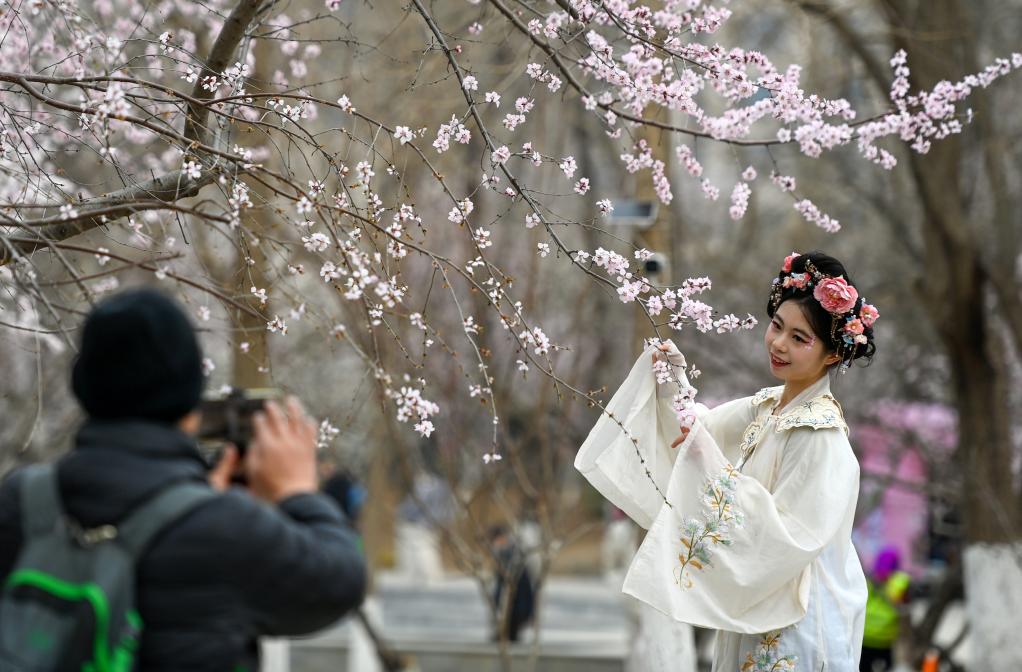 從“劇效應(yīng)”到“花經(jīng)濟(jì)” 春日文旅消費(fèi)市場(chǎng)活力滿(mǎn)滿(mǎn)