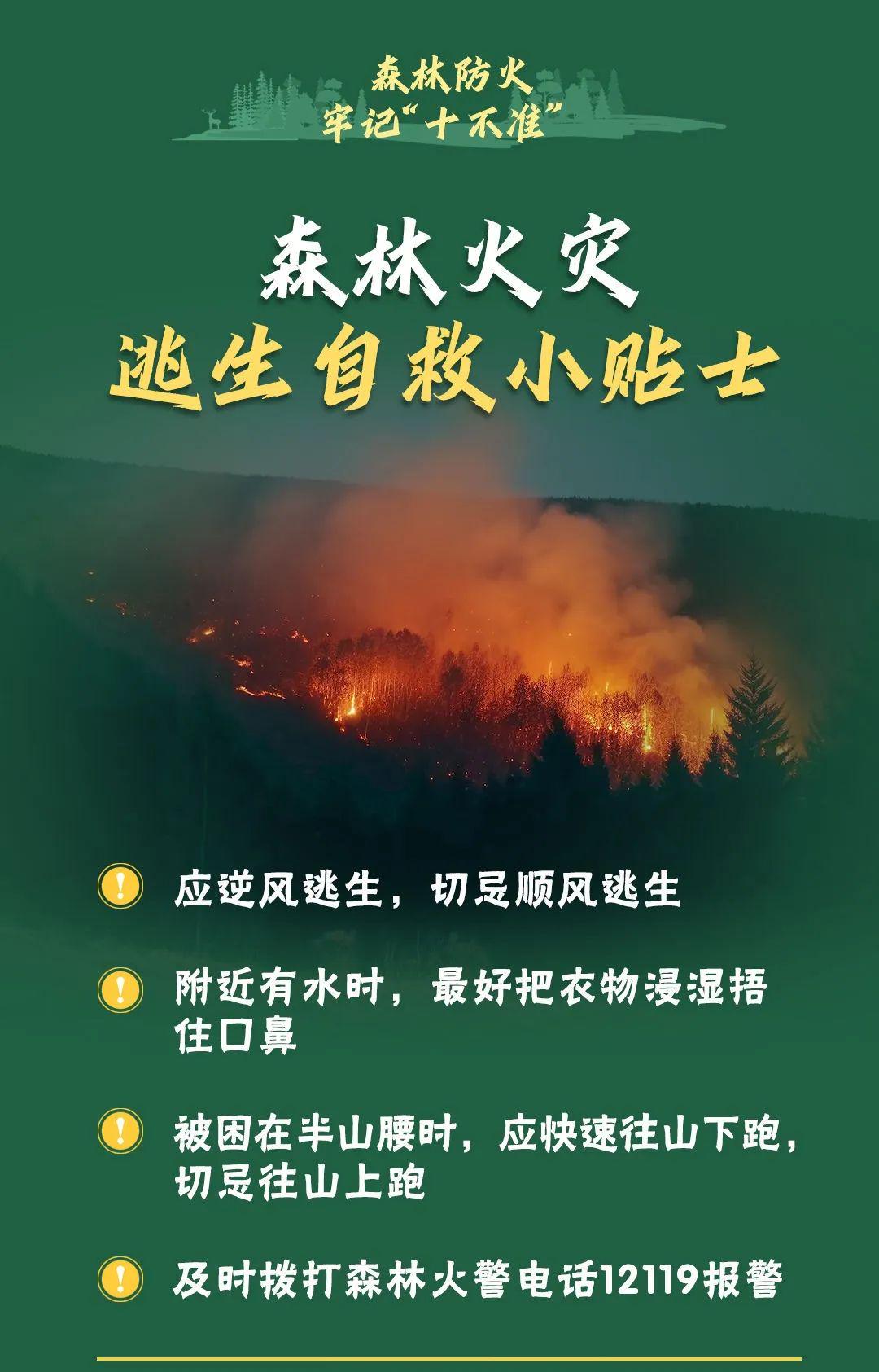 山火連發(fā)，原因公布！多地拉響紅色預(yù)警→