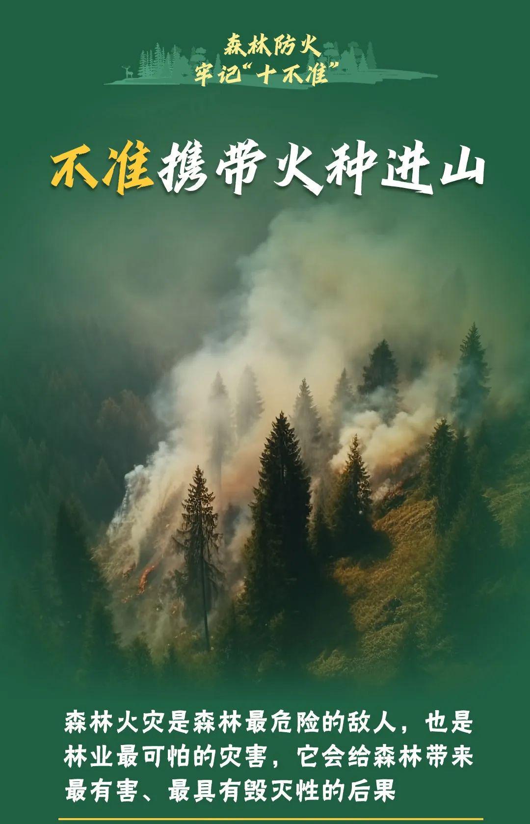 山火連發(fā)，原因公布！多地拉響紅色預(yù)警→